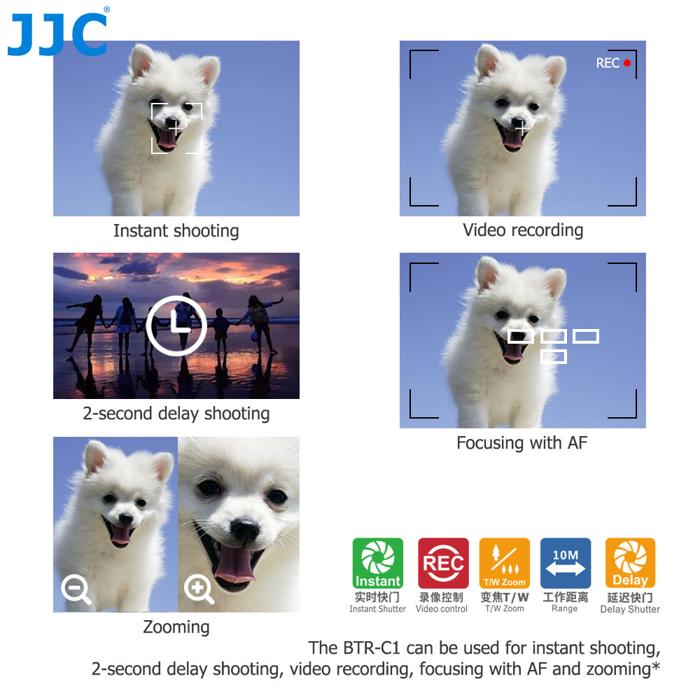 JJC BR-E1 블루투스 리모컨 (캐논 파워샷 V1  - Canon Camera Eos R8 리뷰 및 가격